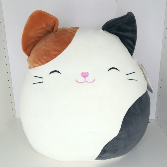 squishmallow cameron